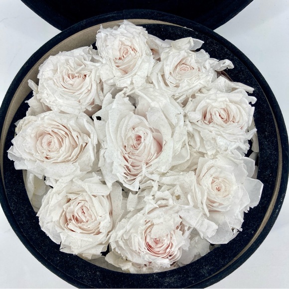 rose forever new york 9 Ecuador White roses in round velvet box - Picture 4 of 4